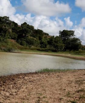 A tranquil water body with a curved shoreline and greenery along the banks under a cloudy sky. - Olive Oil Times