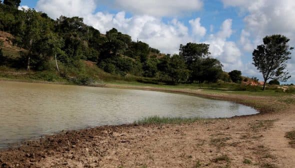 A tranquil water body with a curved shoreline and greenery along the banks under a cloudy sky. - Olive Oil Times