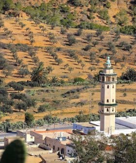 A minaret stands in a landscape featuring olive groves and palm trees on a hillside. - Olive Oil Times