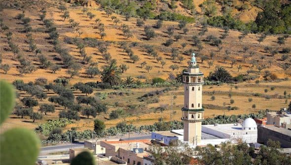 A minaret stands in a landscape featuring olive groves and palm trees on a hillside. - Olive Oil Times