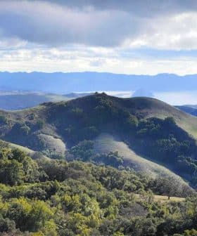 Scenic view of rolling green hills leading to an ocean in the distance under a cloudy sky. - Olive Oil Times
