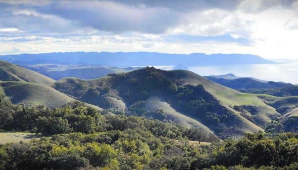 Scenic view of rolling green hills leading to an ocean in the distance under a cloudy sky. - Olive Oil Times