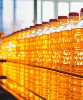 A row of clear plastic bottles filled with yellow cooking oil on a production line. - Olive Oil Times