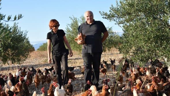 Two farmers walking through a field with a large group of chickens in a rural setting. - Olive Oil Times