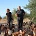 Two farmers walking through a field with a large group of chickens in a rural setting. - Olive Oil Times