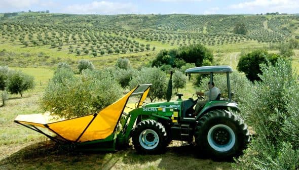 Green tractor equipped with olive harvesting equipment in an olive grove. - Olive Oil Times