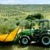 Green tractor equipped with olive harvesting equipment in an olive grove. - Olive Oil Times