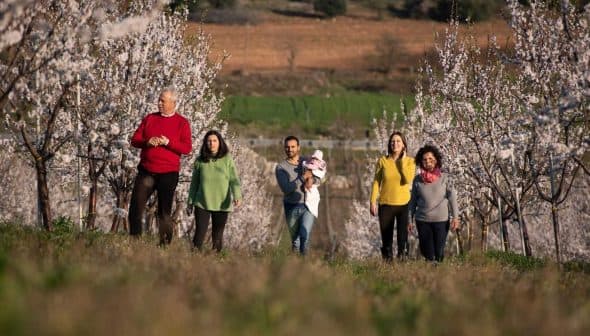 Group of six people walking through a blooming orchard with white flowers on trees. - Olive Oil Times