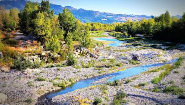 A river winding through a landscape with trees and rocky areas under a clear sky. - Olive Oil Times