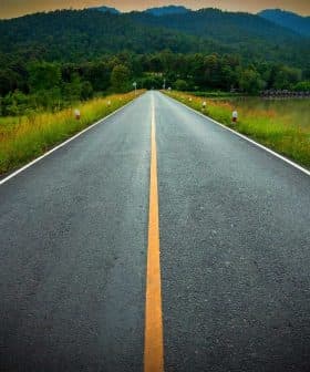 A straight road lined with white and red markers, leading through a green landscape with mountains in the background. - Olive Oil Times