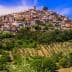 A hilltop village with stone buildings and olive groves in the foreground under a blue sky. - Olive Oil Times