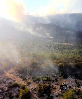 Aerial view of a landscape with smoke rising from the ground among trees and rocky terrain. - Olive Oil Times