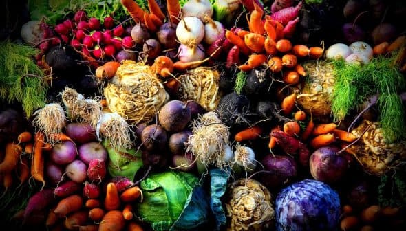 A collection of various fresh vegetables including carrots, radishes, and turnips arranged together. - Olive Oil Times