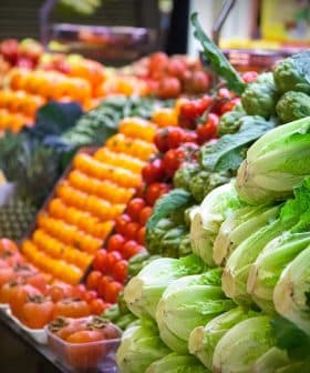 A colorful display of fresh vegetables and fruits including lettuce, tomatoes, and peppers at a market. - Olive Oil Times