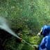 Individual in protective gear spraying pesticide on green plants with a handheld sprayer. - Olive Oil Times