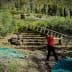 A man in a red shirt carrying a ladder through an olive grove with trees in the background. - Olive Oil Times