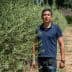Man in a blue polo shirt standing between rows of olive trees in a field. - Olive Oil Times