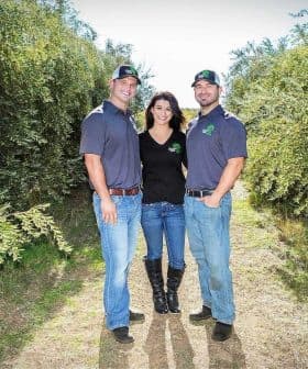 Three individuals standing together in an olive grove, wearing casual clothing and hats. - Olive Oil Times