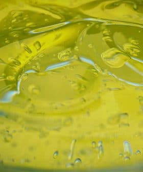 Close-up view of olive oil with bubbles in a glass container. - Olive Oil Times