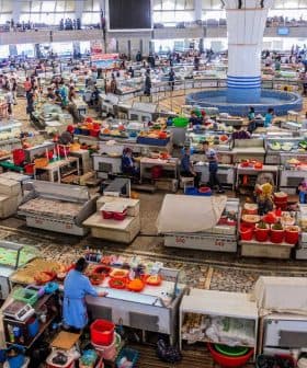 A bustling market filled with vendors and customers, showcasing various stalls and products in a large indoor space. - Olive Oil Times
