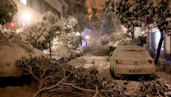 A street covered in snow with fallen branches and parked cars partially obscured by snow. - Olive Oil Times