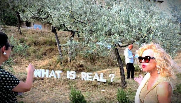 Art installation with the phrase 'WHAT IS REAL?' displayed in an olive grove setting. - Olive Oil Times