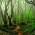 A dense forest featuring twisted trees and lush green foliage in a misty atmosphere. - Olive Oil Times