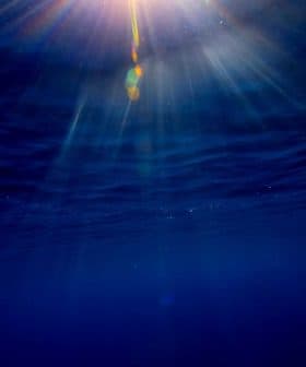 Sunlight filtering through water, creating rays and reflections in a deep blue ocean. - Olive Oil Times