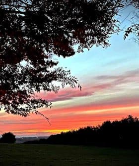 Colorful sunset with pink and orange hues visible through tree branches in a landscape. - Olive Oil Times