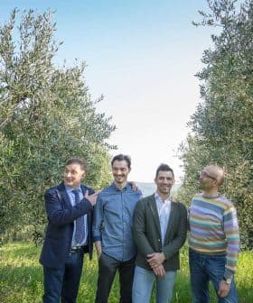 Four men standing together in an olive grove with olive trees in the background. - Olive Oil Times