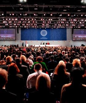 A large audience gathered in a convention center for a conference event with screens displaying presentations. - Olive Oil Times