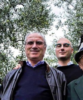Four men standing together outdoors among olive trees, all looking at the camera. - Olive Oil Times