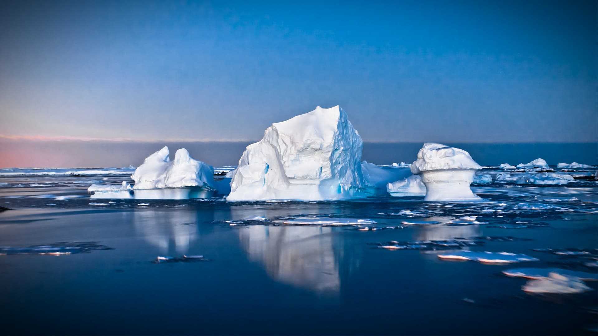 Icebergs floating in calm waters with a blue sky in the background during twilight. - Olive Oil Times