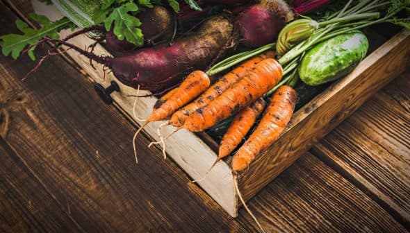 A wooden crate filled with various freshly harvested vegetables, including carrots, beets, and cucumbers. - Olive Oil Times