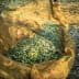 Olives collected in nets during the harvesting process in an olive grove. - Olive Oil Times