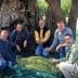 Five men sitting on the ground holding olives in their hands near an olive tree. - Olive Oil Times