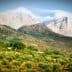 Olive trees in a grove with mountains and clouds in the background. - Olive Oil Times