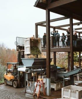 Olive oil production equipment and workers at an outdoor facility with a balcony. - Olive Oil Times