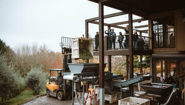 Olive oil production equipment and workers at an outdoor facility with a balcony. - Olive Oil Times