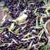 Two birds resting on a bed of freshly harvested olives and leaves. - Olive Oil Times