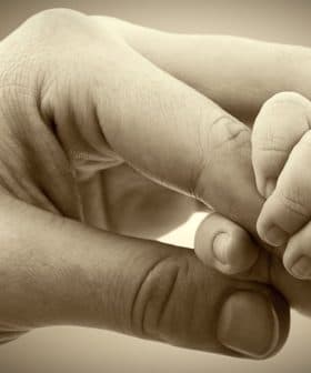 An adult hand gently holding a small baby hand in a close-up image. - Olive Oil Times