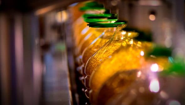 Row of glass bottles filled with olive oil on a production line, each capped with a green lid. - Olive Oil Times