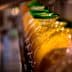 Row of glass bottles filled with olive oil on a production line, each capped with a green lid. - Olive Oil Times