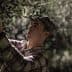 Young man in a cap picking olives from a tree during nighttime. - Olive Oil Times