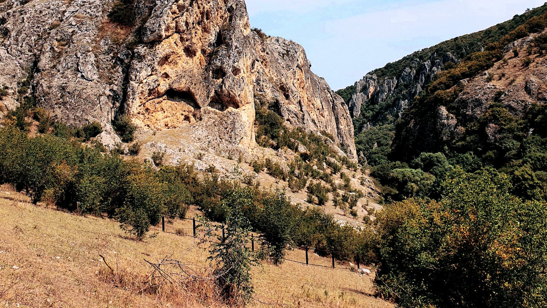 Rocky terrain featuring steep cliffs and scattered trees in a natural setting. - Olive Oil Times