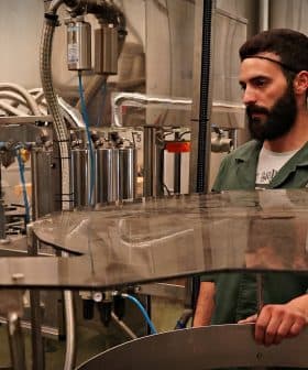 A man with a beard overseeing machinery in an oil production facility. - Olive Oil Times