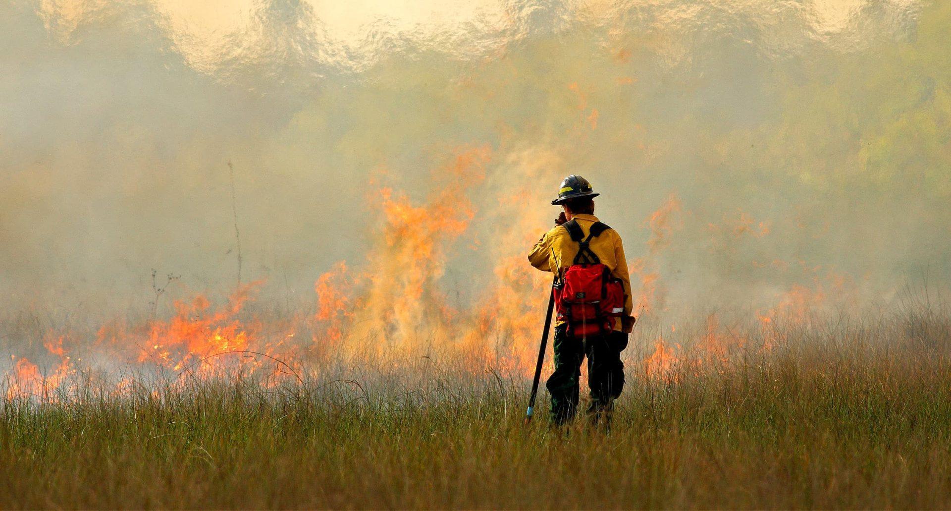 Firefighter in protective gear observing a wildfire with flames and smoke in the background. - Olive Oil Times