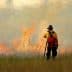 Firefighter in protective gear observing a wildfire with flames and smoke in the background. - Olive Oil Times