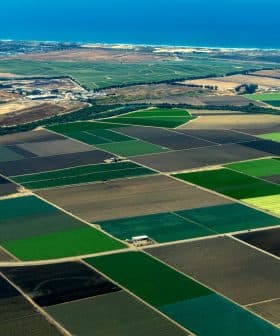 Aerial view of agricultural fields with various shades of green and brown, bordered by a coastline and ocean. - Olive Oil Times