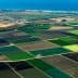 Aerial view of agricultural fields with various shades of green and brown, bordered by a coastline and ocean. - Olive Oil Times